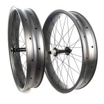 Snow Bicycle Manufacturer - 100mm Micro Spline 12 Speed Full Carbon