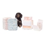 宠物纸尿裤工厂- disposable 柔软训练垫