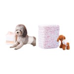 宠物纸尿裤供应商-高吸收性猫尿裤批发