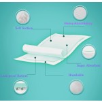 Pet Diaper Supplier - Factory Wholesale Disposable Dog