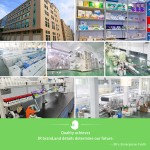 卫生巾工厂-女士护垫 disposable