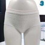 disposable 内裤生产商-100%棉产后款