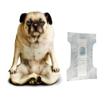 Airlaid Paper Supplier - Wholesale Super Absorbency Core