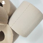 卫生纸供应商-生态软竹浆降解