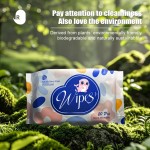 Adult Wipes Supplier - Custom Flushable Cleansing Wipes