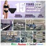 Menstrual Panties Supplier - 4 Layer Leak-proof Breathable