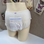 Period Panties Factory - Custom Logo Heavy Flow