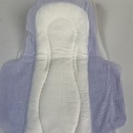 Sanitary Napkins Factory - European Standard Fan Shape