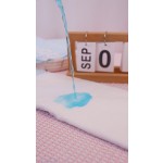 Sanitary Pads Manufacturer - American Fluff Japan SAP