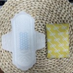 Sanitary Napkins Factory - 180mm Day Use Light Flow