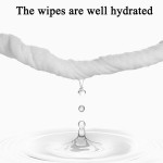 Baby Wet Wipes Manufacturer - OEM Hot Selling Eco