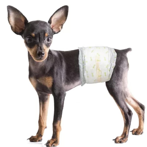 宠物纸尿裤生产商-可定制厂家批发