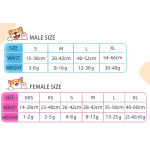 宠物纸尿裤工厂-宠物专用样品批发