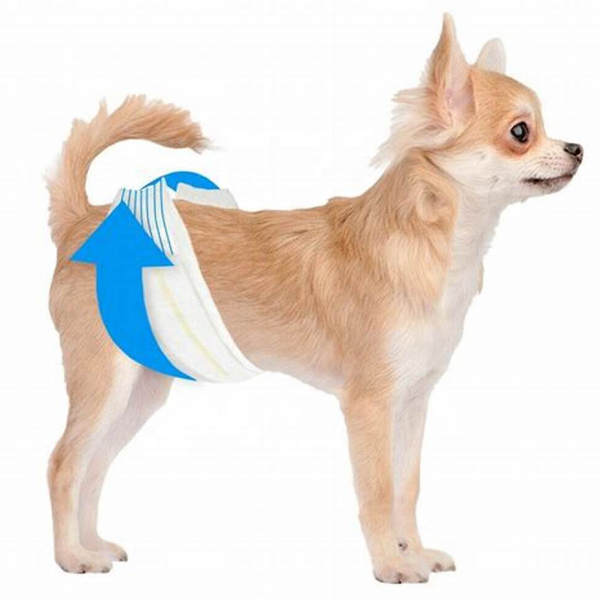 宠物纸尿裤供应商-可定制中国厂家批发