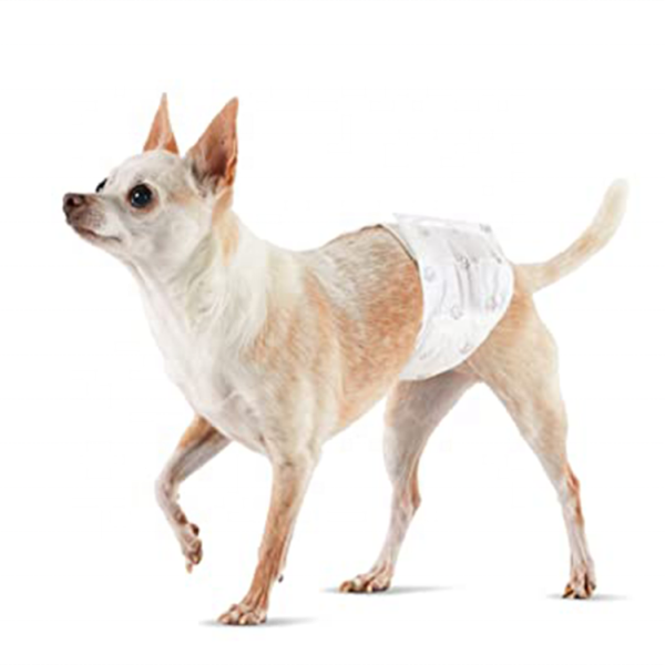 宠物纸尿裤工厂-可定制厂家批发供应