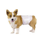 宠物训练垫供应商-可定制厂家样品