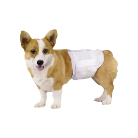 Pet Training Pads Supplier - OEM Manufacturer Sample