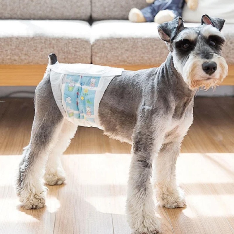 宠物纸尿裤生产商-可定制厂家批发