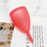 月经杯生产商-可定制环保优质