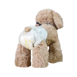 宠物纸尿裤生产商-可定制优质幼犬