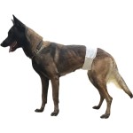 公狗护具供应商-一次性狗用尿裤