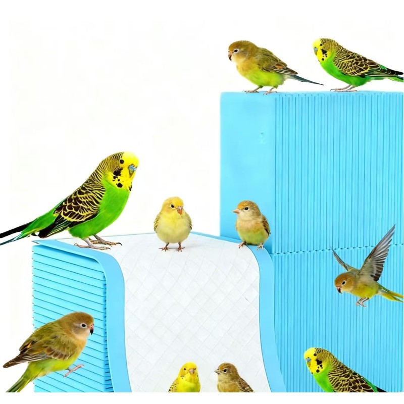 宠物尿垫供应商-一次性鸟类训练尿垫