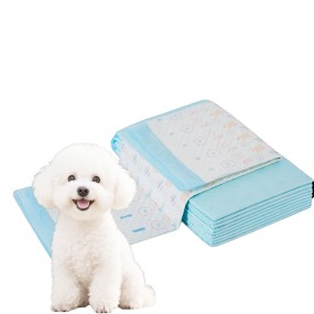 Pet Urine Pads Supplier - Extra Large 6-Layer Quick Dry