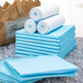 Puppy Pee Pad Manufacturer - High Quality Leak-proof