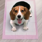 犬用尿垫工厂-哈什佩特加厚基础