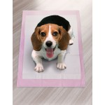 犬用尿垫生产商-吸水失禁护理