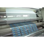 Diaper Side Tape Supplier - S Cut Elastic PP Side