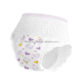 Sanitary Pants Factory - Women Wearing Lady Pant