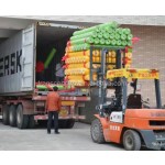 无纺布供应商-厂家批发