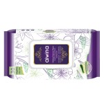 Makeup Remover Wipes Manufacturer - AIWINA Biodegradable