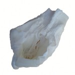 游泳尿裤供应商-印花成人生产商