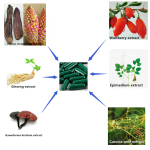 Nutritional Dietary Supplement