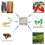 Nutritional Dietary Supplement