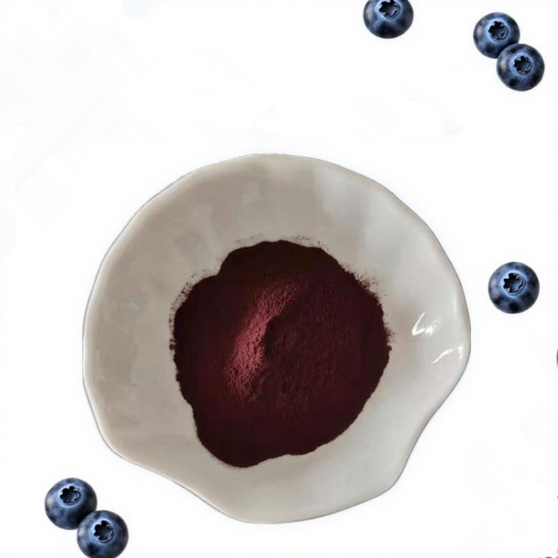 Factory Supply  Blueberry Anthocyanins Powder for Food and Cosmetic