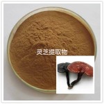 Reishi Mushroom Powder Lingzhi Ganoderma Extract