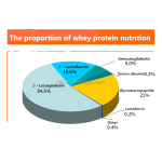 Custom COLLAGEN Whey Protein bar with Private Label