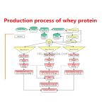 100% Pure Whey Protein Sport Healthcare Food