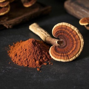 Reishi Mushroom Powder Lingzhi Ganoderma Extract