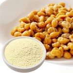 Food and Nutrition Ingredients Nattokinase(NK) Natto Extract 20000 FU/g