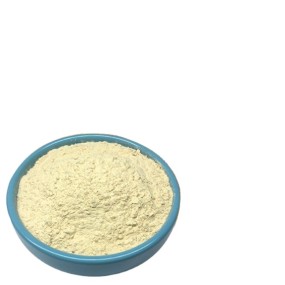 Food and Nutrition Ingredients Nattokinase(NK) Natto Extract 20000 FU/g