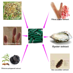 Nutritional Dietary Supplement