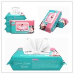 湿巾工厂-批发环保100片芦荟