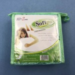 Panty Liner Manufacturer - China Factory Hot Sale Export