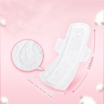 Sanitary Pad Factory - Menstrual Feminine Hygiene Lady