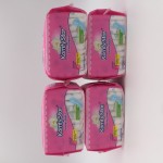 Sanitary Napkins Manufacturer - Wholesale OEM Lady