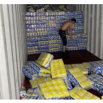 Sanitary Napkins Supplier - Free Sample Anion Chip